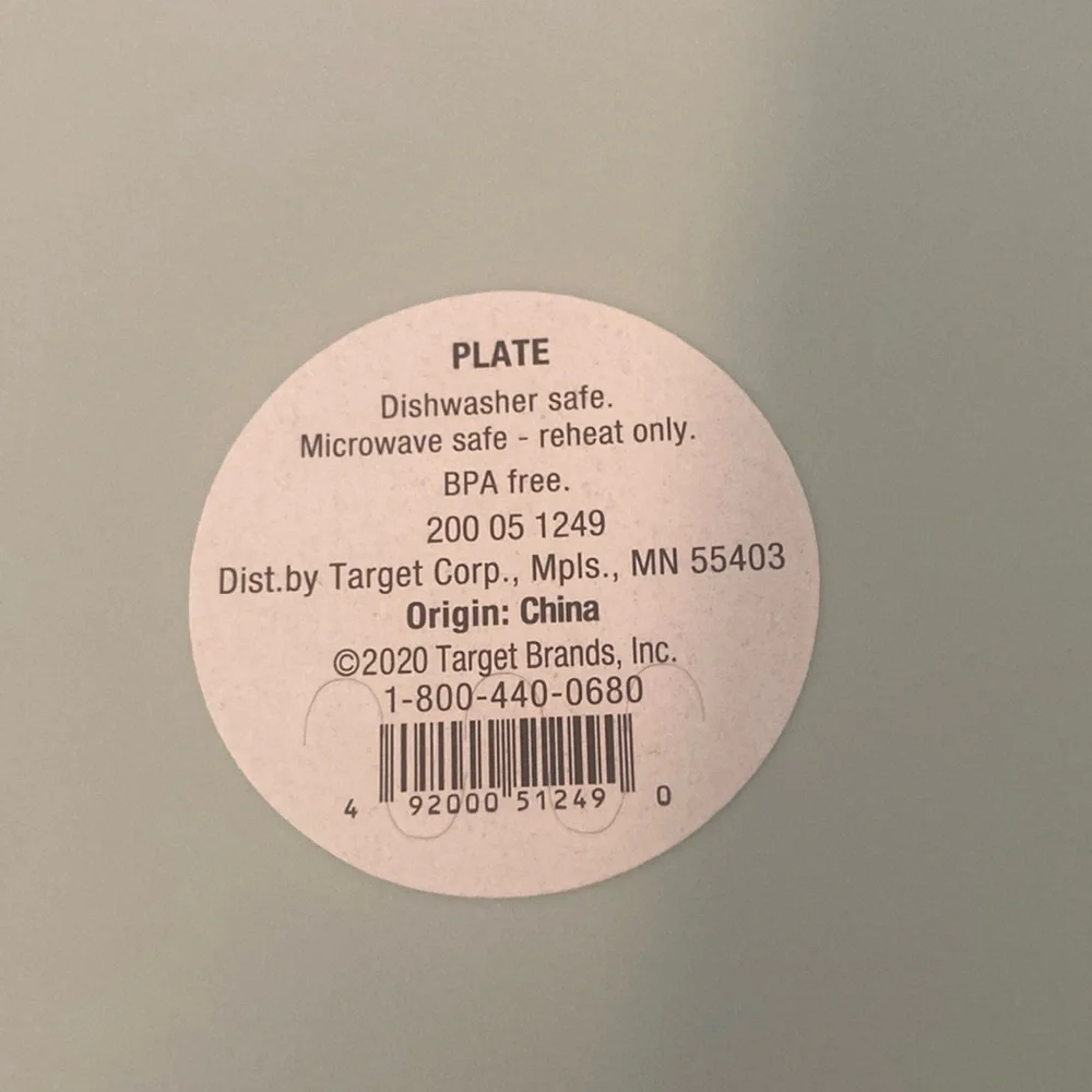 Target 2020 Plastic Dinner Plates in Light Blue